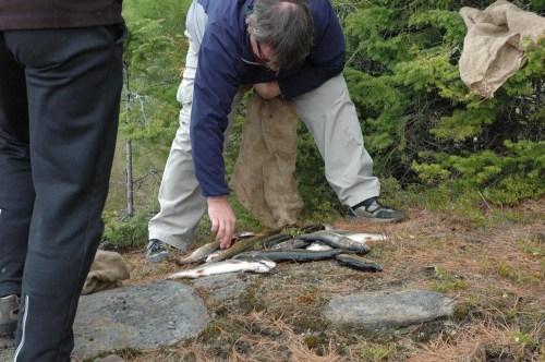 Fishing_weekend_2010-4