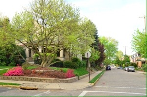 20130505-205239.jpg